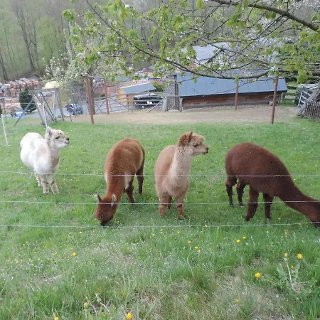 Sonnenblick Rittersgruen I شقة بريتينبرون