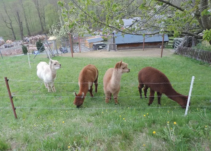 Sonnenblick Rittersgruen I Lägenhet Breitenbrunn (Saxony)